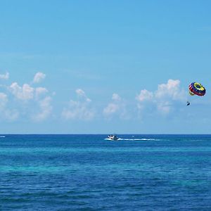 Aqua Vista